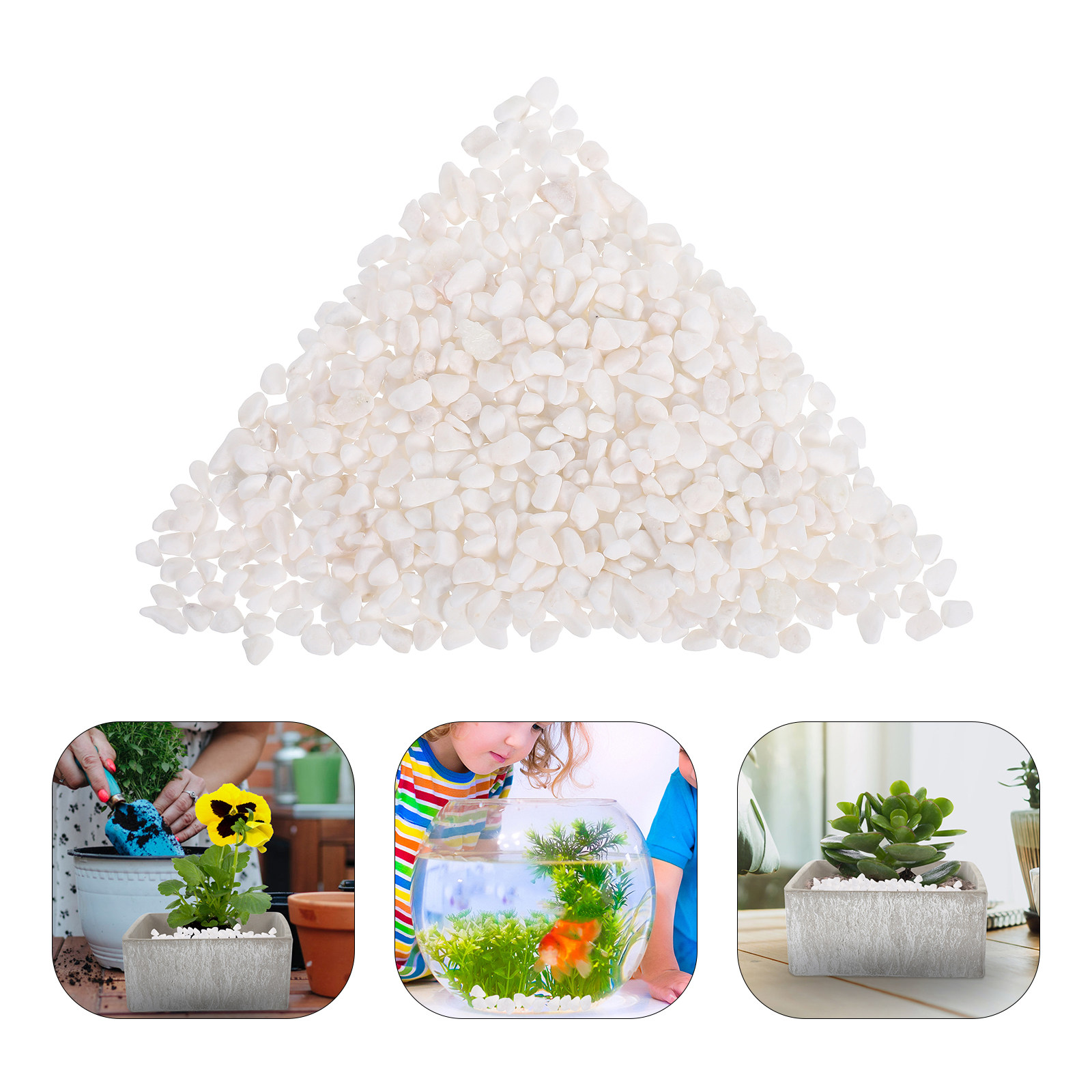 Planted Aquarium With Gravel - Natural Gravel Decorative Stones 250G Aquarium