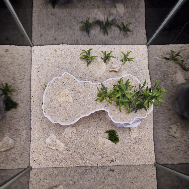 Aquarium 3D Printed Planting B - Aquarium Planted Tank Soil recension och pris