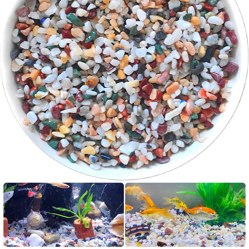 Natural Gravel Stone 200~1000g - Planted Aquarium With Gravel recension och pris