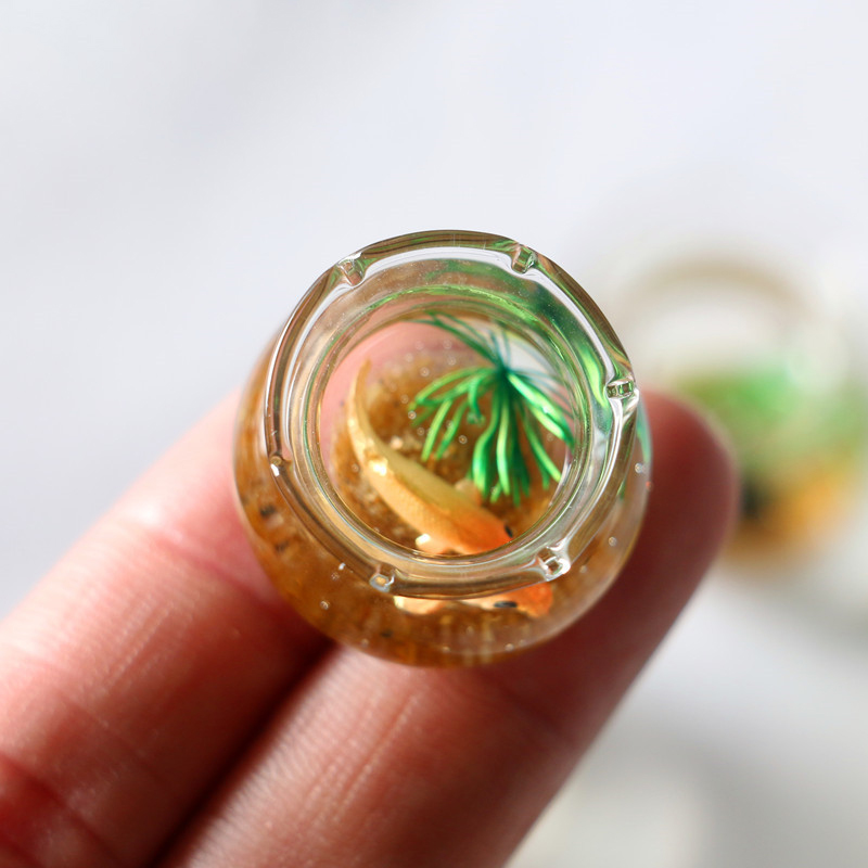 1Pc 1:12 Mini DollHouse Simula - Planted Aquarium Photos recension och pris