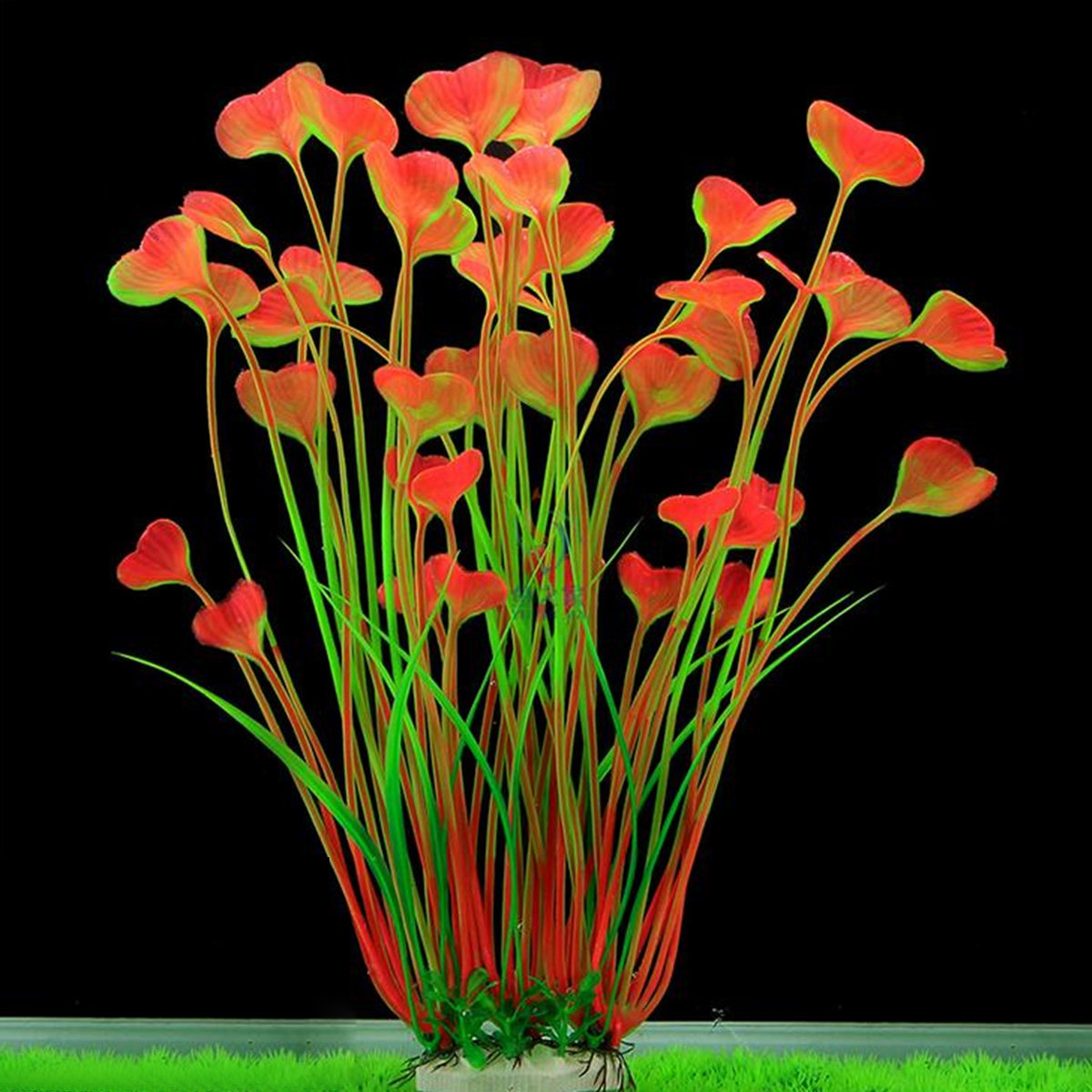40cm Aquarium Plant Heart Gras - Planted Aquarium Freshwater recension och pris