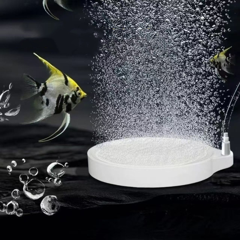 Nano Disc Air Stone Oxygen Aer - Aquarium Lily Pipe recension och pris
